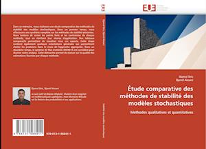 Étude comparative des méthodes de stabilité des modèles stochastiques