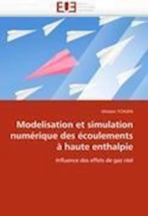 Modelisation et simulation numérique des écoulements à haute enthalpie