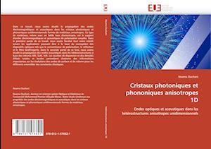 Cristaux photoniques et phononiques anisotropes 1D