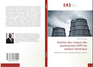 Gestion des risques des partenariats (PPP) du secteur électrique