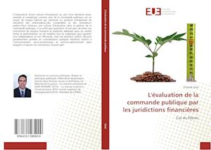 L'évaluation de la commande publique par les juridictions financières