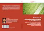Croissance de Chlamydomonas reinhardtii en photobioréacteur