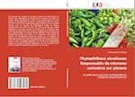 Phytophthora nicotianae Responsable de nécroses racinaires sur piment