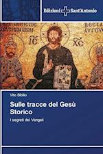 Sulle tracce del Gesù Storico