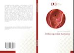 Embryogenèse humaine