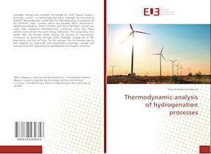 Thermodynamic analysis of hydrogenation processes