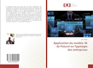 Application du modèle 3E de Paturel en Typologie des entreprises