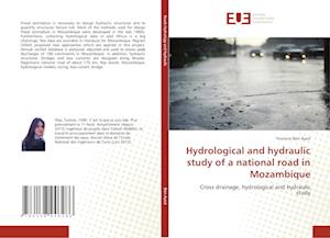 Hydrological and hydraulic study of a national road in Mozambique