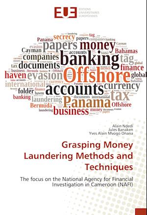 Grasping Money Laundering Methods and Techniques