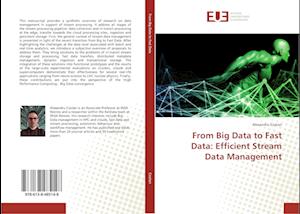 From Big Data to Fast Data: Efficient Stream Data Management