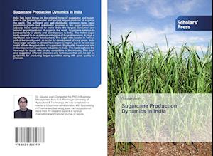 Sugarcane Production Dynamics in India