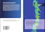 Nuclear waste disposal - groundwater contamination in three dimensions