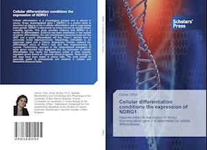 Cellular differentiation conditions the expression of NDRG1