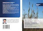 Ecological Tolerance of Phragmites australis (Cav.) Trin. Ex. Steud. 