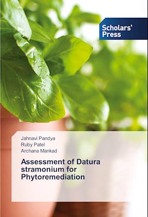 Assessment of Datura stramonium for Phytoremediation