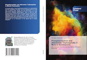 Phosphocreatine and Adenosine Triphosphate in Muscle Contraction