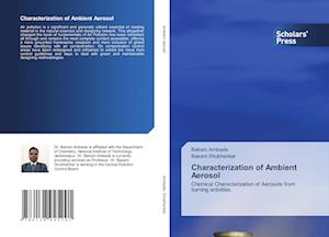 Characterization of Ambient Aerosol