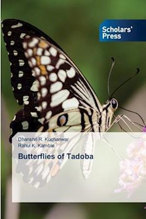 Butterflies of Tadoba