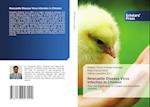 Newcastle Disease Virus Infection in Chicken