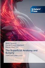 The Superficial Anatomy and Surgery