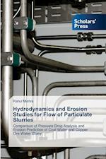 Hydrodynamics and Erosion Studies for Flow of Particulate Slurries