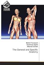 The General and Specific Anatomy 