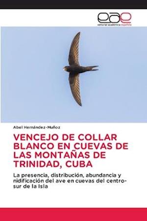 VENCEJO DE COLLAR BLANCO EN CUEVAS DE LAS MONTAÑAS DE TRINIDAD, CUBA