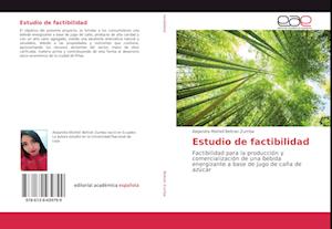 Estudio de factibilidad