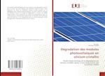 Dégradation des modules photovoltaïques en silicium cristallin