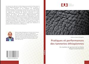 Pratiques et performances des tanneries éthiopiennes