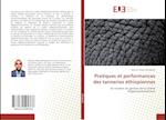 Pratiques et performances des tanneries éthiopiennes