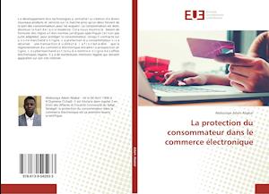 La protection du consommateur dans le commerce électronique