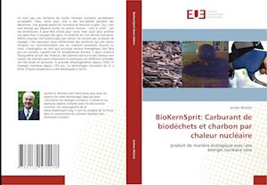 BioKernSprit: Carburant de biodéchets et charbon par chaleur nucléaire