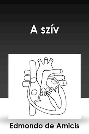 A szív