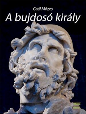 A bujdosó király