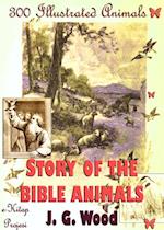 Story of the Bible Animals