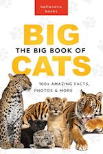 The Big Book of Big Cats