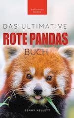 Rote Pandas Das Ultimative Buch