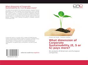 What dimension of Corporate Sustainability (E, S or G) pays more?