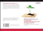 What dimension of Corporate Sustainability (E, S or G) pays more?