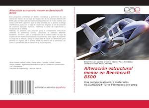 Alteración estructural menor en Beechcraft B300