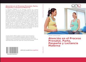 Atención en el Proceso Prenatal, Parto, Posparto y Lactancia Materna