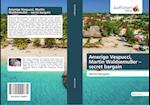 Amerigo Vespucci, Martin Waldsemuller - secret bargain