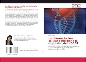La diferenciación celular condiciona la expresión del NDRG1