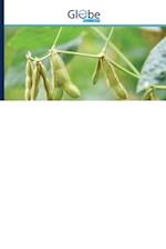 Rainfall variability and risks of droughts during soybean cultivation 