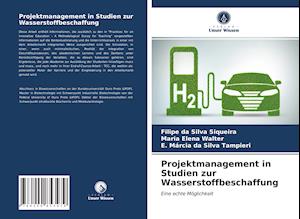 Projektmanagement in Studien zur Wasserstoffbeschaffung