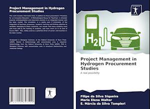 Project Management in Hydrogen Procurement Studies