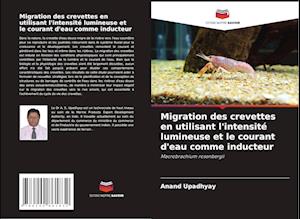 Migration des crevettes en utilisant l'intensité lumineuse et le courant d'eau comme inducteur