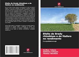 Efeito do Brady rhizobium e do fósforo no rendimento