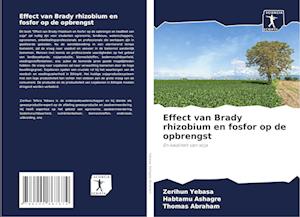 Effect van Brady rhizobium en fosfor op de opbrengst